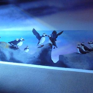 Puffin Mural