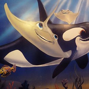 Orca/Stingray Mural