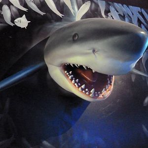 Shark Statue