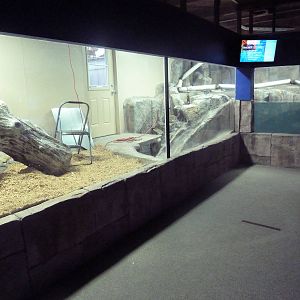 Future Small-Clawed Otter Exhibit