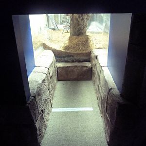 Future Small-Clawed Otter Exhibit (Visitor Section)