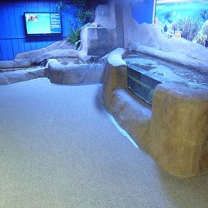 Touch Tank