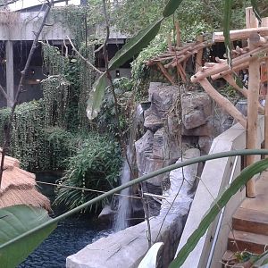 Viewing in the Nile crocodile enclosure