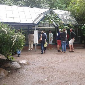 Giant tortoise House