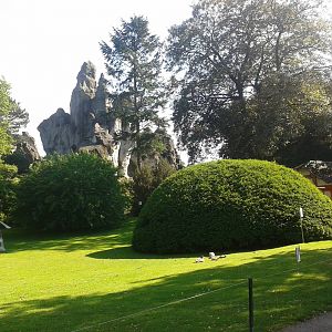 Typical Hagenbeck view