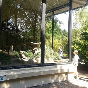 Monkey and bird enclosure