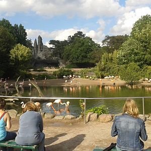 Hagenbeck panorama