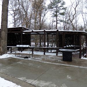 New Turkey Vulture/Hawk Exhibit