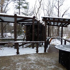 New Turkey Vulture/Hawk Exhibit
