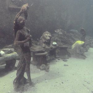 Underwater Statues