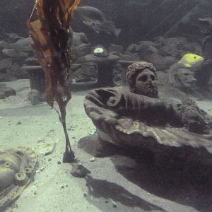 Underwater Statues