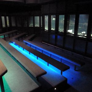 Viewing Area - Theater