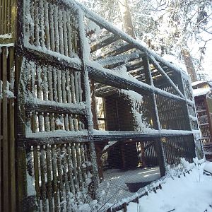 Golden Eagle Exhibit
