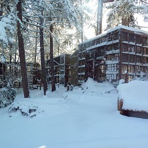 Assorted Bird Exhibits