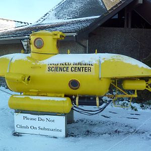 We All Live In A Yellow Submarine