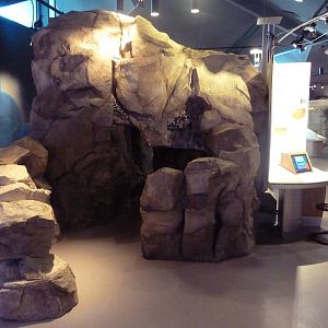 Aquarium Cave