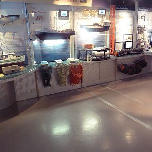 Sustainable Fisheries Display