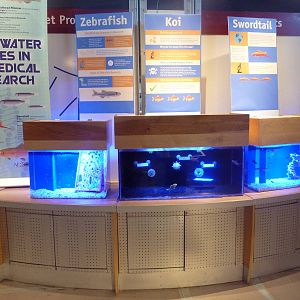 Biomedical Research Tanks