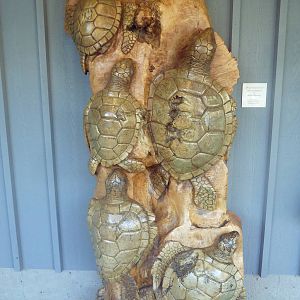 Sea Turtle Statue