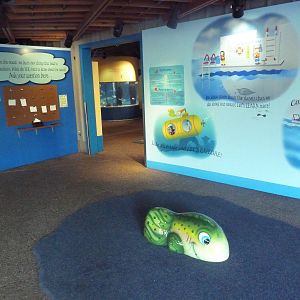 The Sea + Me (Temporary Exhibit)