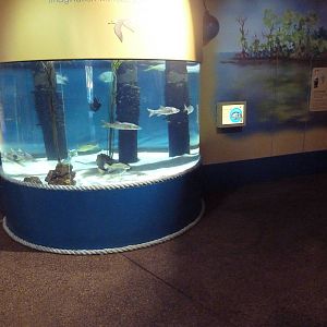 The Sea + Me (Temporary Exhibit)