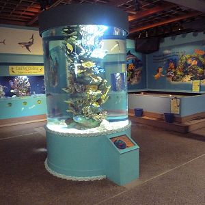 The Sea + Me (Temporary Exhibit)