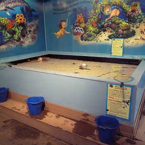 The Sea + Me (Temporary Exhibit)