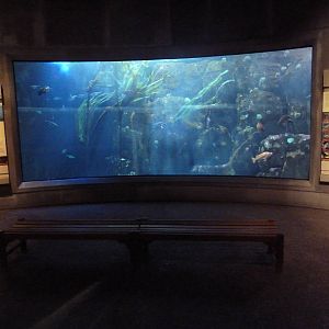 Coastal Waters Gallery
