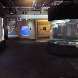 Coastal Waters Gallery