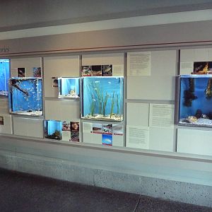 Sandy Shores Gallery