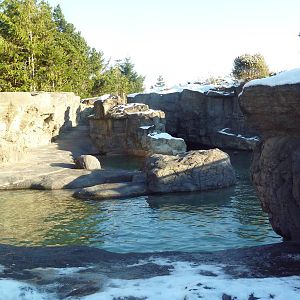 Sea Otter Exhibit - Outstanding!