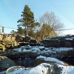Walk-Through Seabird Aviary (6 Species)