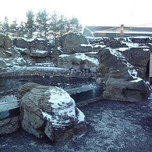Walk-Through Seabird Aviary (6 Species)