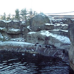 Walk-Through Seabird Aviary (6 Species)