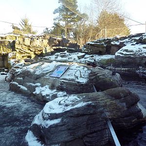 Walk-Through Seabird Aviary (6 Species)