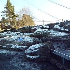 Walk-Through Seabird Aviary (6 Species)