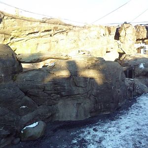 Walk-Through Seabird Aviary (6 Species)