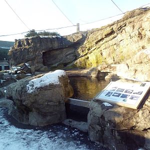 Walk-Through Seabird Aviary (6 Species)