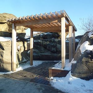 California Sea Lion/Harbour Seal Exhibit - New Viewing Area Added In 2013