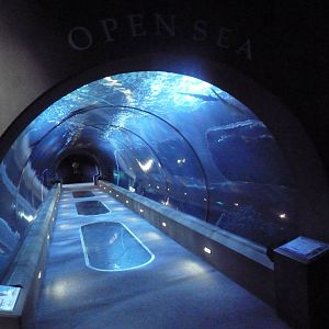 Open Sea Tunnel