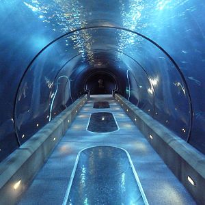 Open Sea Tunnel