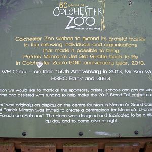 The original description