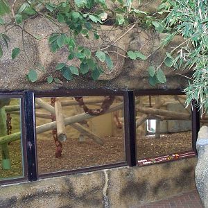 original lion night quarters sitting area