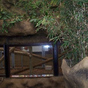 original lion night quarters sleping area