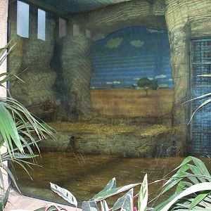 lion Dens night quarters