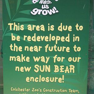 bear announcement