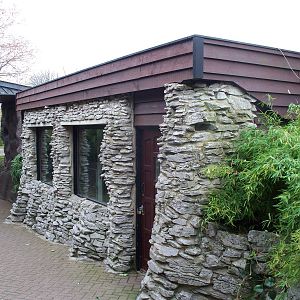 the old jaguar house