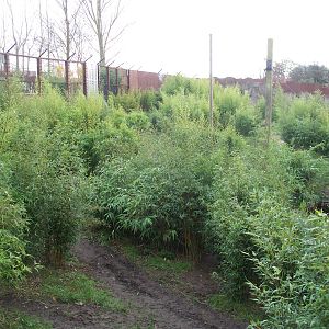 same enclosure 10 years on.