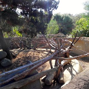 Adjustments to the walls of the ungulate exhibits