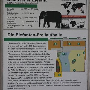 Elephant sign and plan of the enclosure